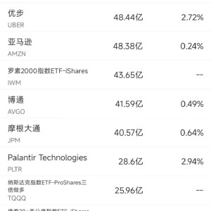 10月11日美股成交额前20：特斯拉Cybercab令人失望，股价大跌8.8%