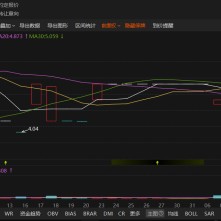 中孚环境资金占用曝光！散户和定增投资者均可索赔