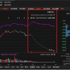 长江健康被立案调查，非经营性资金占用超36亿！