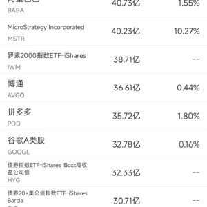 10月8日美股成交额前20：英伟达收高逾4%，其竞争对手推迟IPO