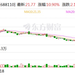 东芯股份：控股股东拟2亿元至2.4亿元增持公司股份