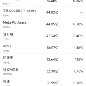 10月18日美股成交额前20：Netflix业绩强劲，股价大涨11%创历史新高