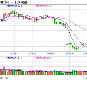 光大期货：9月30日软商品日报