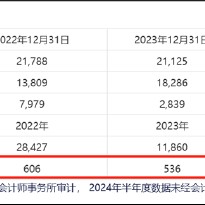 TCL科技百亿高溢价收购过剩产能？逾1600亿债务压顶能否熬到周期反转