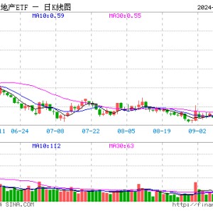 连环王炸政策，地产爆点时刻！资金扎堆买入，地产ETF（159707）斩获11连阳，单日获1亿元净申购