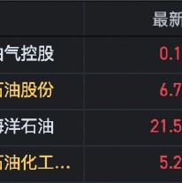 港股油气股高开 中国油气控股大涨14%