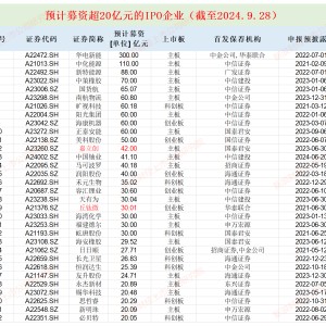 丘钛微实控人一股独大暗藏风险 拟募资30亿元终归是何宁宁一人的资本盛宴？|IPO高募资