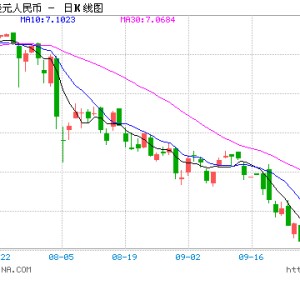 外汇局副局长李红燕：人民币升幅在全球范围内属于平均水平 对进出口影响比较温和