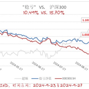 假如有牛市，未来主角是什么？5月以来绝对收益10.19%