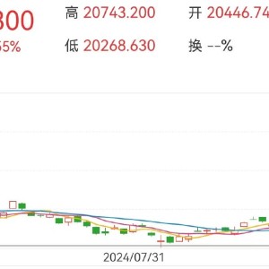 外资加速建仓！港股多家公司公告，摩根大通一天内增持比亚迪等超41亿港元