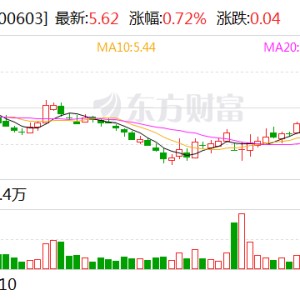 因财务造假，广汇物流及相关责任人合计被罚1900万元