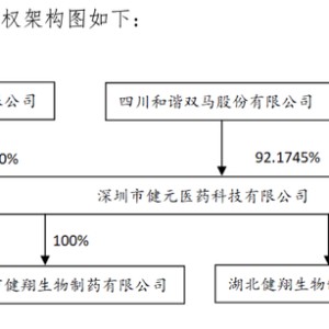 股价一字涨停！四川双马拟近16亿高溢价收购深圳健元，标的去年净资产为负