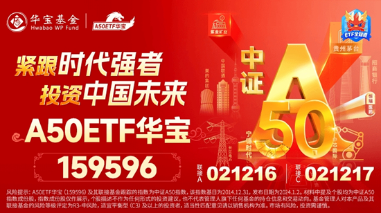 龙头资产吹响反攻号角！龙头宽基A50ETF华宝（159596）涨超3%冲击六连阳！主力资金狂涌